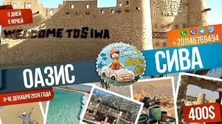Оазис СИВА из Хургады  11-16 декабря 2024 года. 6 дней 5 ночей (3 ночи в отеле в Сиве)