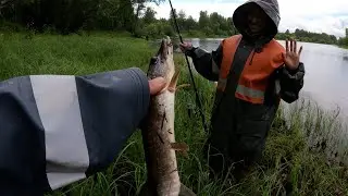 ПРЕКРАСНАЯ РЫБАЛКА С КРАСАВИЦЕЙ ЖЕНОЙ