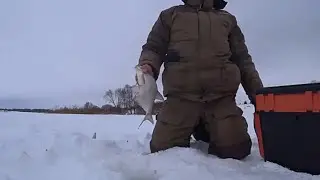 Зимняя рыбалка на дурилку 23 февраля, травлю рыбацкие байки, нашел iPhone, кайфую с чаем и салом