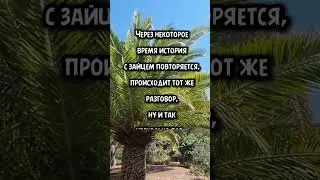 14 мая 2024 г.
