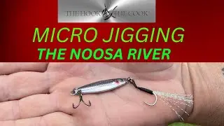 These Lures catch everything !! BOUNCING  MICRO JIGS IN NOOSA RIVER !!