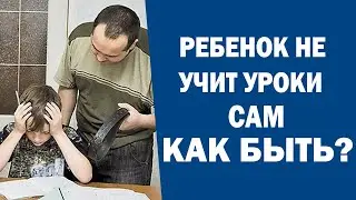 Как научить ребенка учить уроки самостоятельно