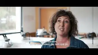 La science citoyenne au coeur du projet de recherche Tree Bodygards : la stratégie de la chenille.