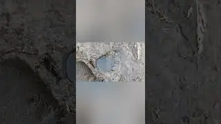 Медведка, эксперимент!