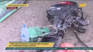 В Алматинской области природоохранные полицейские перешли на усиленный режим работы