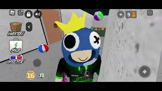 mm2 dhxkc