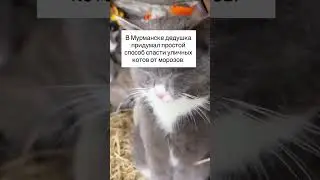 22 апреля 2026 г.