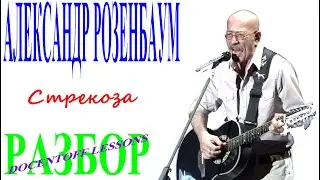 Александр Розенбаум Я увидел во дворе стрекозу разбор / на гитаре / бой / аккорды