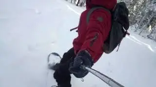 Фрирайд на сноуборде в снежном лесу
