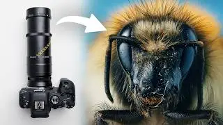 Mitakon 55mm F/2.8 1-5X Extreme Macro Lens Review