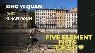 Xing yi quan (形意拳）- Wu xing quan/ Five elements fist by kung fu ronin