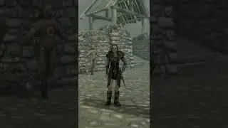 Are you a Companion? #skyrim
