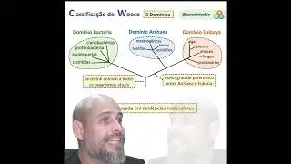 3 domínios 18 07 2023