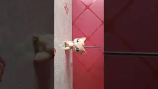 Мои новинки!(Лпс и аксессуары для комнат)