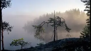 César Franck: TANTUM ERGO - Heikki Rainio, Marius Järvi, Kalevi Kiviniemi