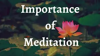 Why should we meditate | What is the purpose of meditation (Hindi)