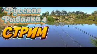 РУССКАЯ РЫБАЛКА 4 поиск трофеев #russianfishing4 #firhayes #60fps