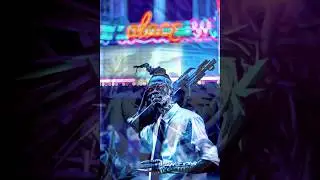 Shangri Lofi HD - Official Music Video