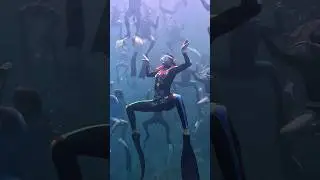 The Crab Army is coming for you. #freediving