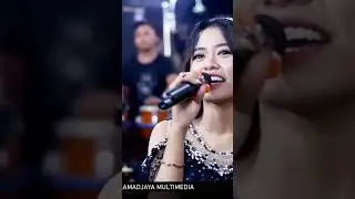 D4DI SIJI