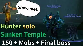 Turtle WoW - Hunter solo ST 180 mobs + final boss.