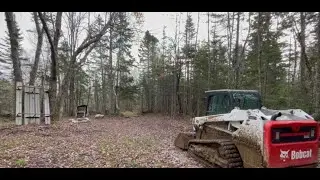 Maine (future off grid log cabin build?)