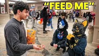 I Made Furries Do Tricks for Treats at Furry Con