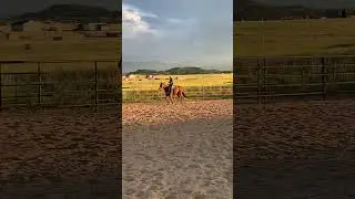 SPORTINGANGSTERCHIC 4