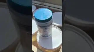 Чтобы сахарный сироп не бродил