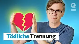 Broken-Heart-Syndrom: Kann man an Liebeskummer sterben? | Quarks Dimension Ralph