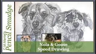 Pencil Smudge Pet Portrait of Nola and Goose