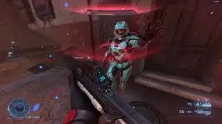 The Halo Experience