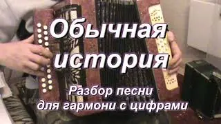 Обычная история ( под гармонь)