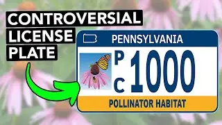 The License Plate That's Making People Upset