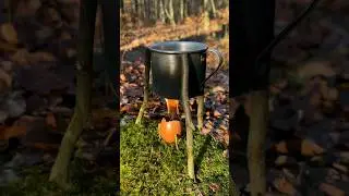 Survival Skills Lifehacks: Cooking Wild Eggs. 