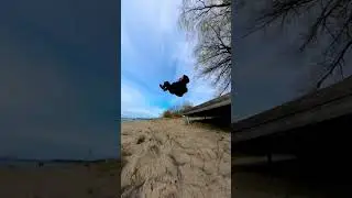 Look at him GO! 🥷