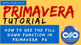 How to use the Fill Down function in Primavera  P6 || Primavera P6 Tricks