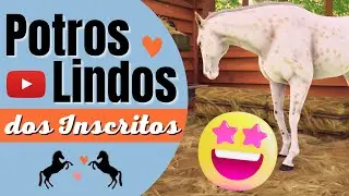 🐎 Fazendo Breed com Os Cavalos que os Inscritos Escolheram | Parte 3 | Rival Stars