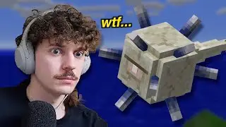 The 