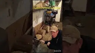 Недосягаемое совершенство