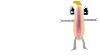robot pussy