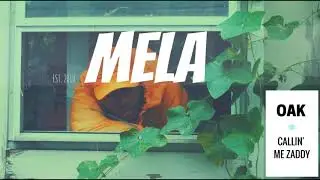 OAK - Callin' me zaddy | MELA Music