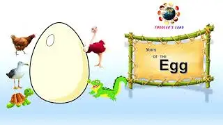 Story of the Egg I The Egg - A Short Story for Kids I Golden Egg I Animal Egg Story
