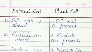 Difference between Animal cell and Plant cell