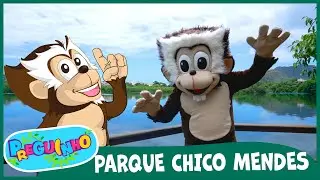 Preguinho no Parque Chico Mendes - Muita diversão e aprendizado - Vídeos infantis educativos