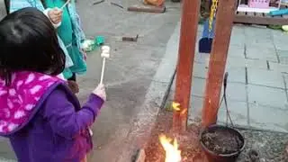 Bonfire in our backyard-toasting mashmellos