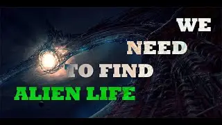 Why We Need to Find Aliens