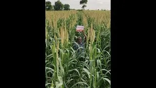 આવનારી ઉનાળાની વાવણી કરવા આ વીડિયો ખાસ જુઓ.