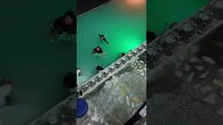 Saan Punta ang mga Ina Nyo?