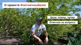 О проекте #пятничныйолег